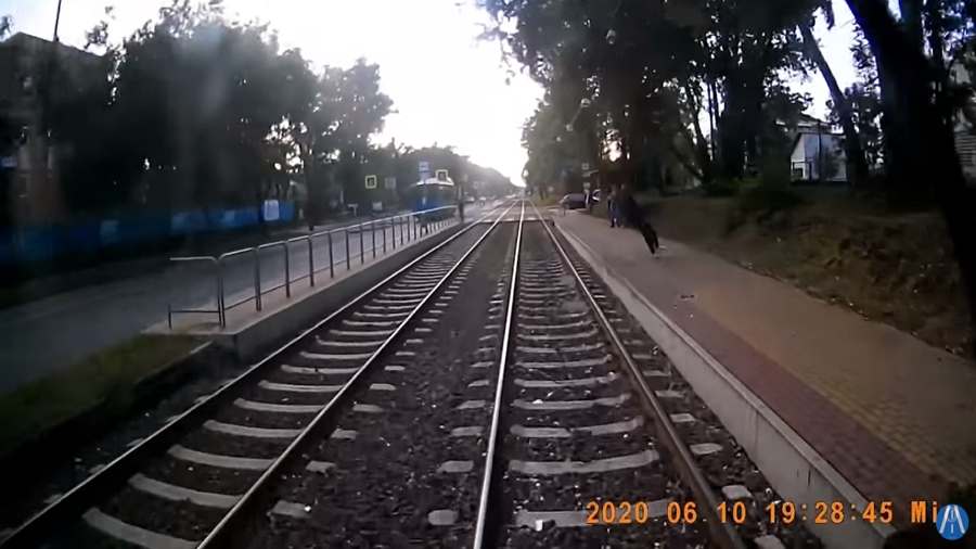 Villamos elé esett egy férfi Budapesten, az egészet rögzítették (+18 videó)