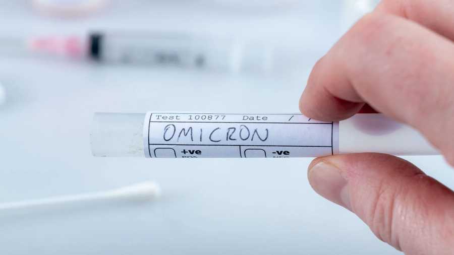 Mayer Gábor: Omicron