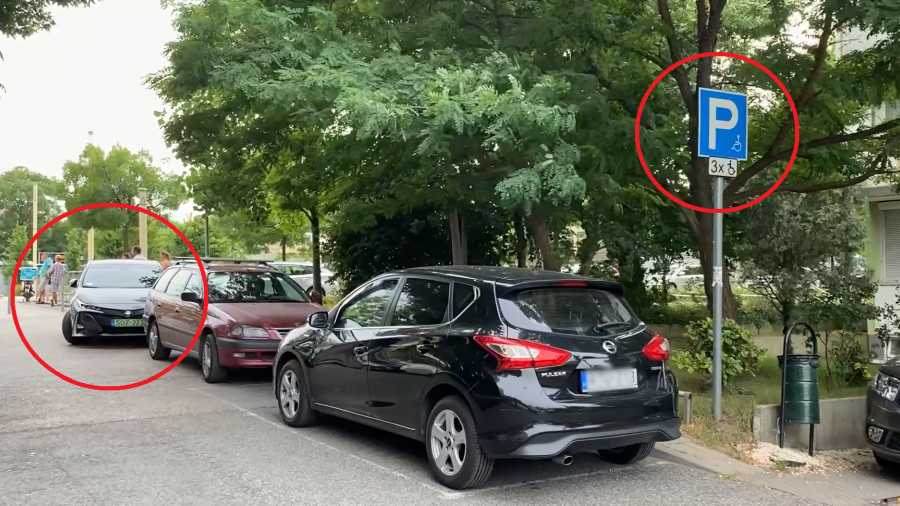 Mayer Gábor: A hatalom szava
