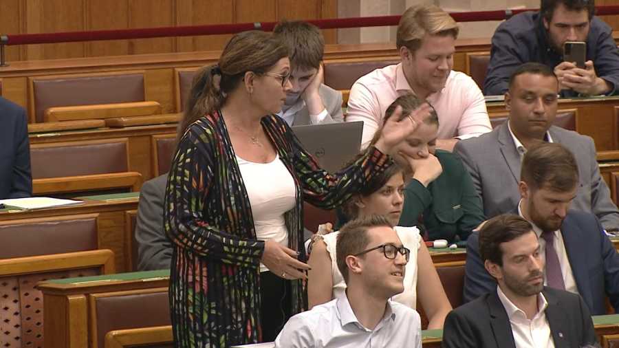 Stoffán György: Mucika és Fegyőr… avagy a nemzet új rémálmai