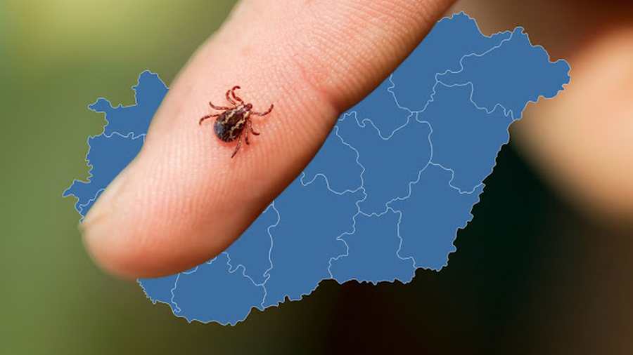 Gondolatok, Pajor András védelmében…