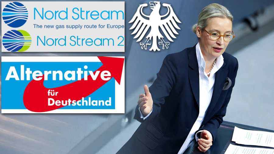 Die Zeit: a német parlament a jövő héten tárgyal az AfD betiltásáról
