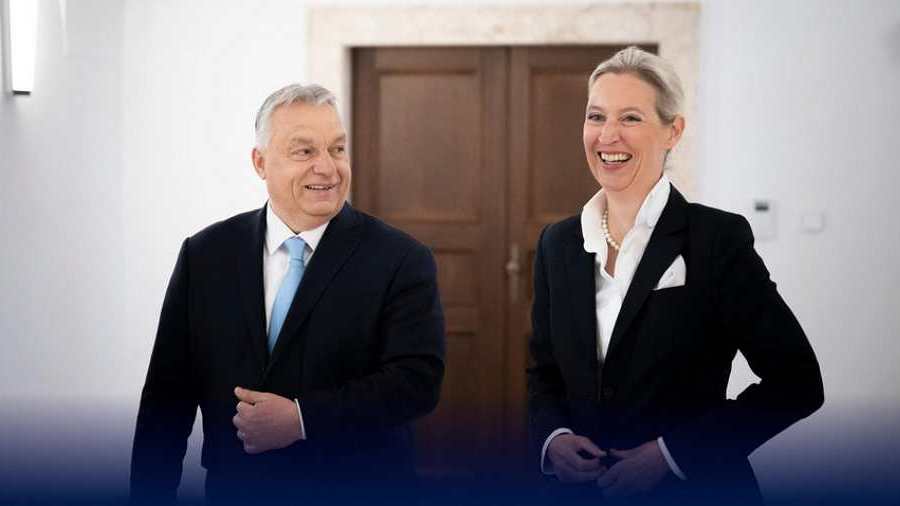 Hollai Hehs Ottó: AfD és FIDESZ, lesz közös jövő?