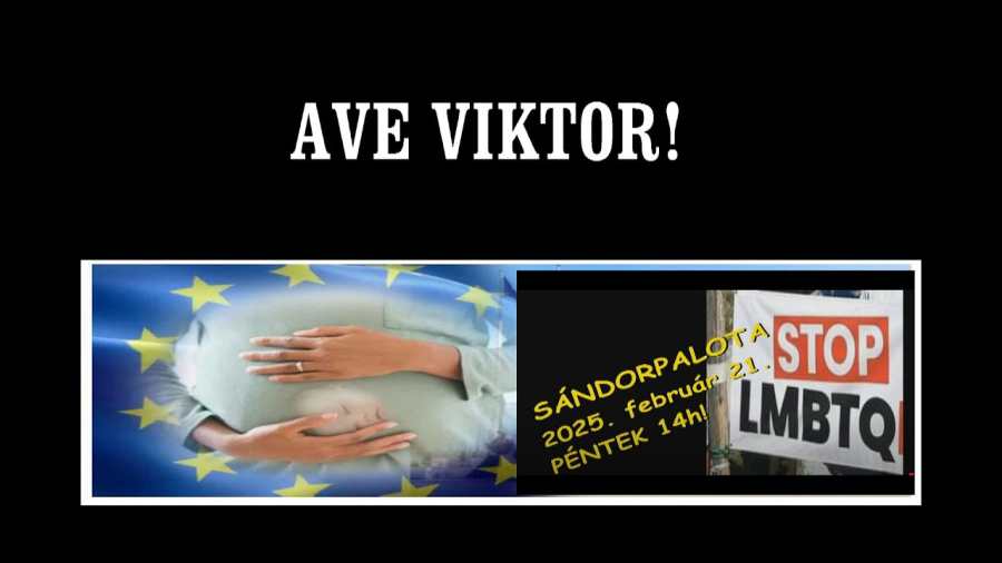 A NemzetEgyesítők folytatják az antiglobalista szabadságharcot!